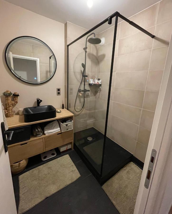 Lille Appart Cosy 68M2 Lumineux Avec Balcon - Garage Prive Extérieur photo